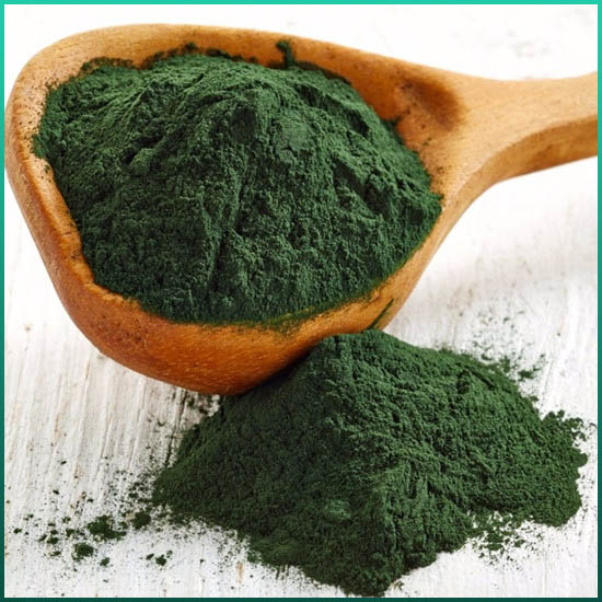 Spirulina निकासी